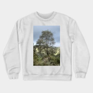 elb singleton Crewneck Sweatshirt